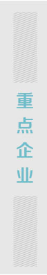 重點企業(yè)